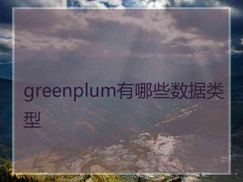 greenplum有哪些数据类型