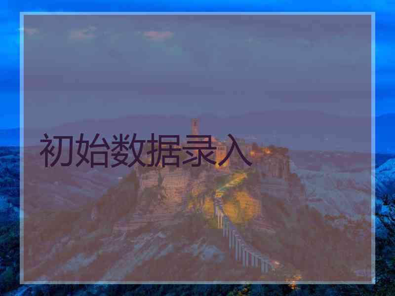 初始数据录入