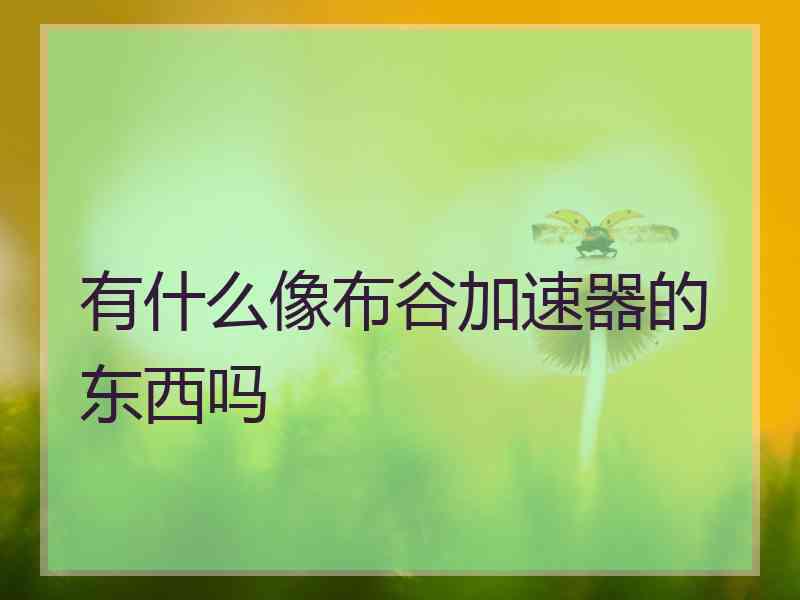 有什么像布谷加速器的东西吗