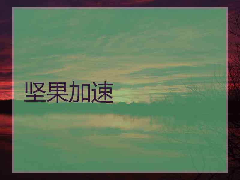 坚果加速