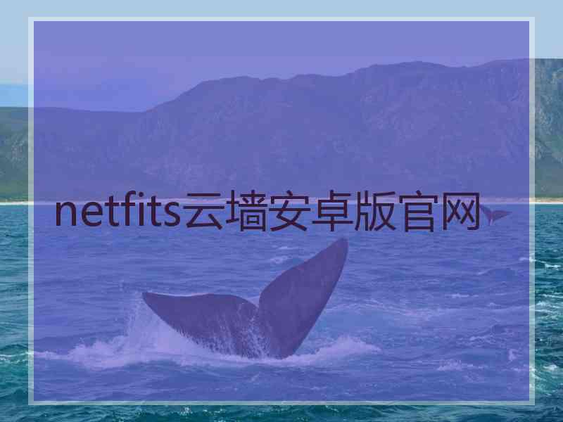 netfits云墙安卓版官网
