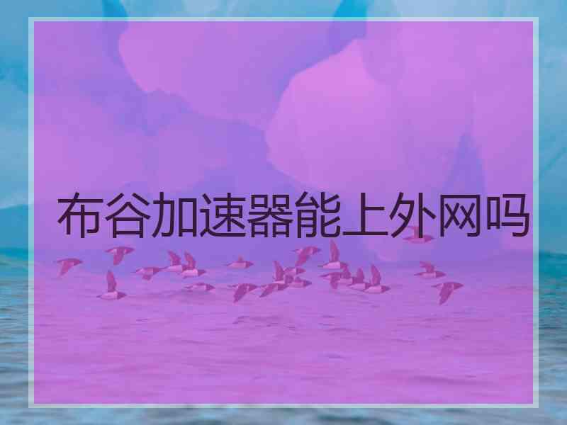 布谷加速器能上外网吗