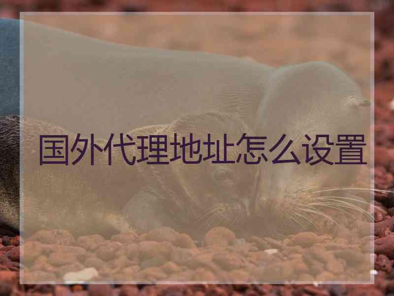 国外代理地址怎么设置