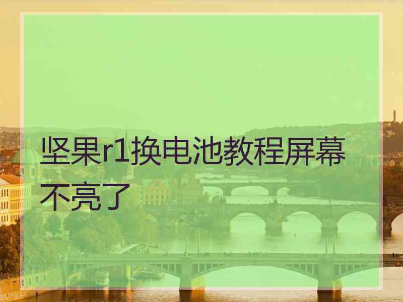 坚果r1换电池教程屏幕不亮了