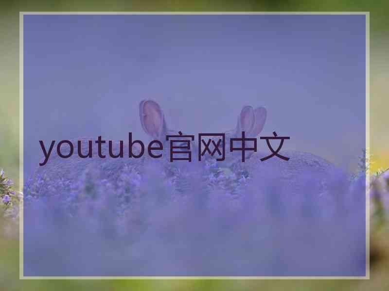 youtube官网中文