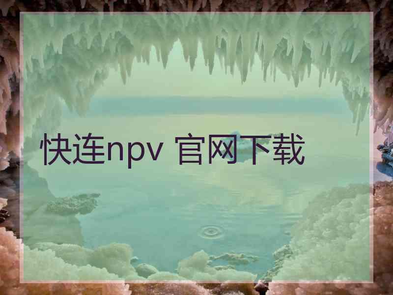 快连npv 官网下载