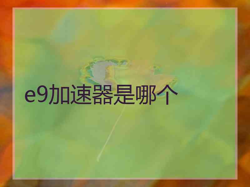 e9加速器是哪个