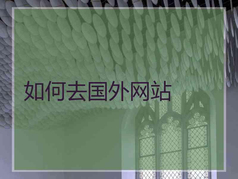 如何去国外网站