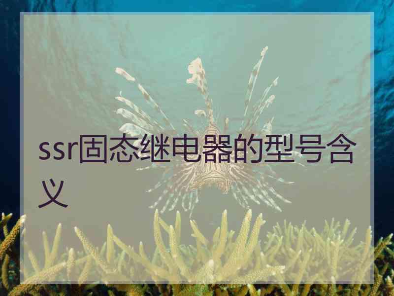 ssr固态继电器的型号含义