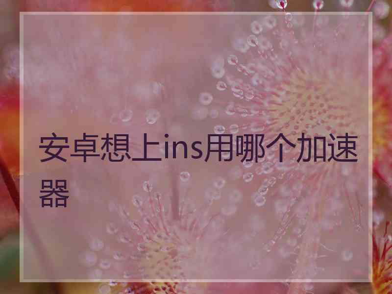 安卓想上ins用哪个加速器