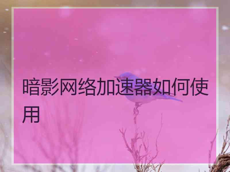 暗影网络加速器如何使用