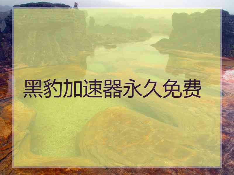 黑豹加速器永久免费