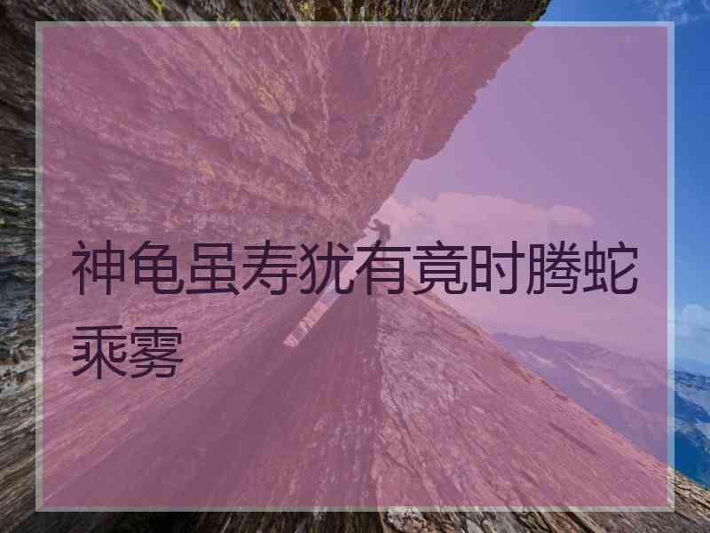 神龟虽寿犹有竟时腾蛇乘雾