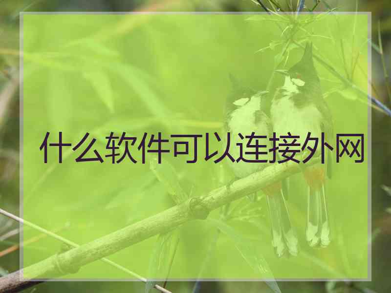 什么软件可以连接外网