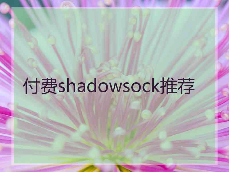 付费shadowsock推荐