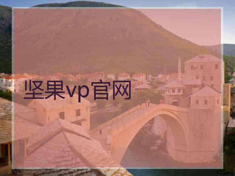 坚果vp官网