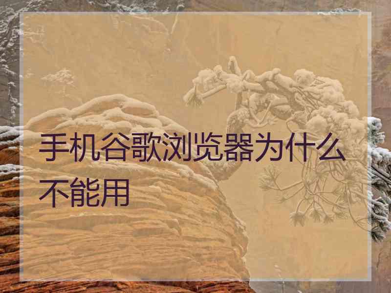 手机谷歌浏览器为什么不能用