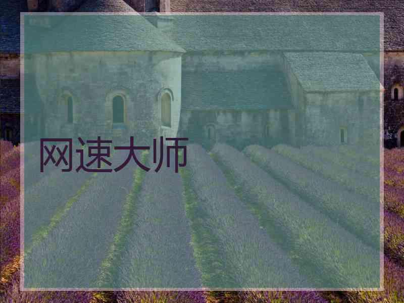 网速大师