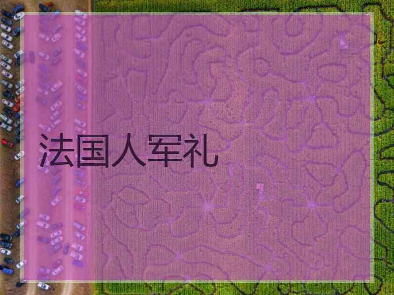 法国人军礼
