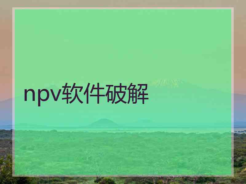 npv软件破解