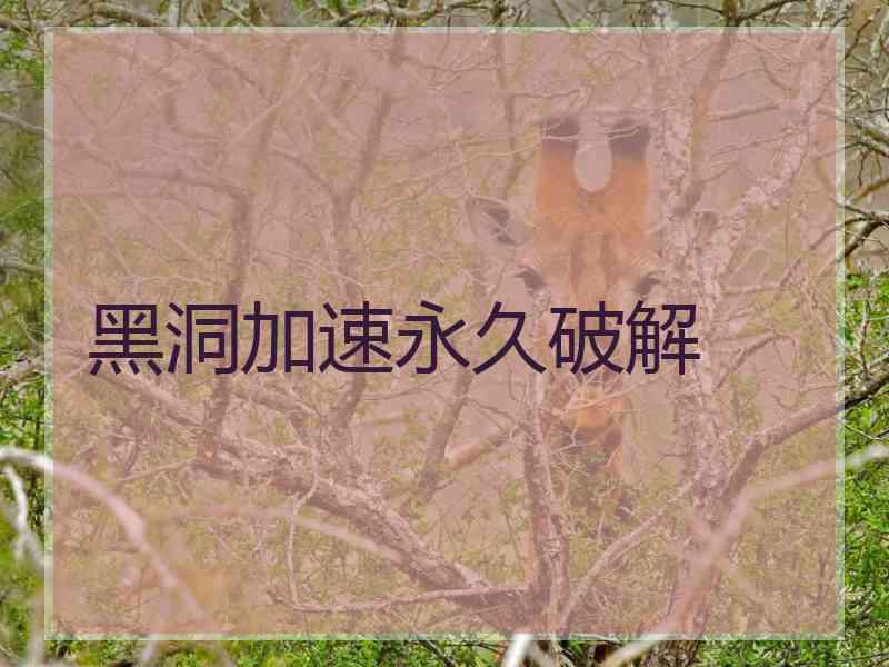 黑洞加速永久破解