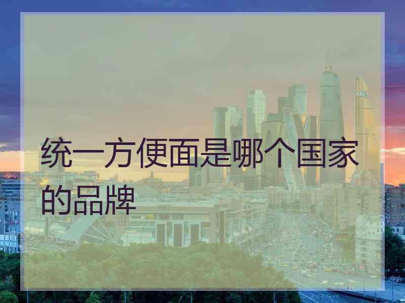 统一方便面是哪个国家的品牌