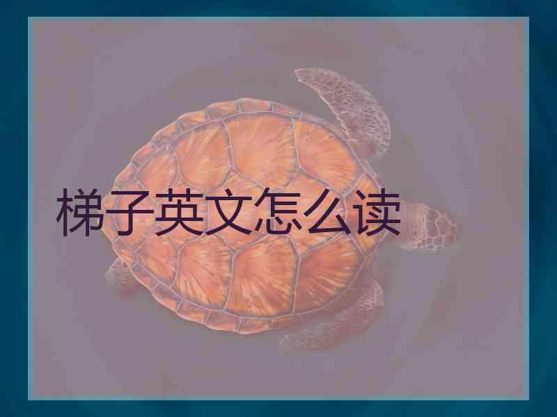梯子英文怎么读