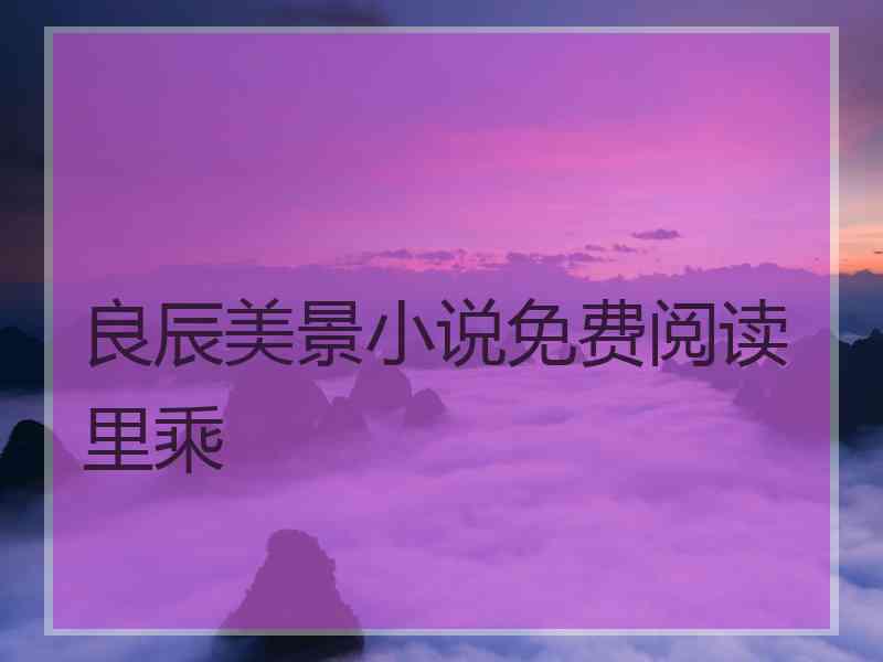 良辰美景小说免费阅读里乘