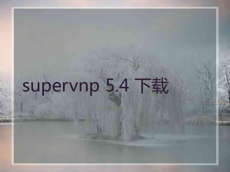 supervnp 5.4 下载