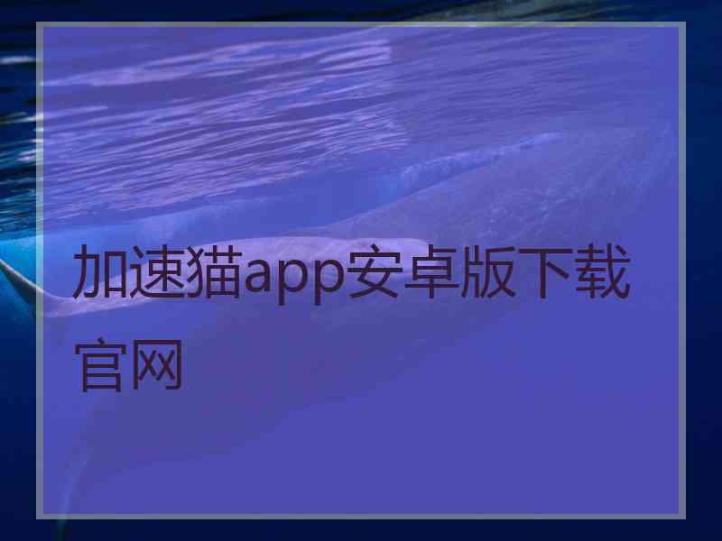加速猫app安卓版下载官网