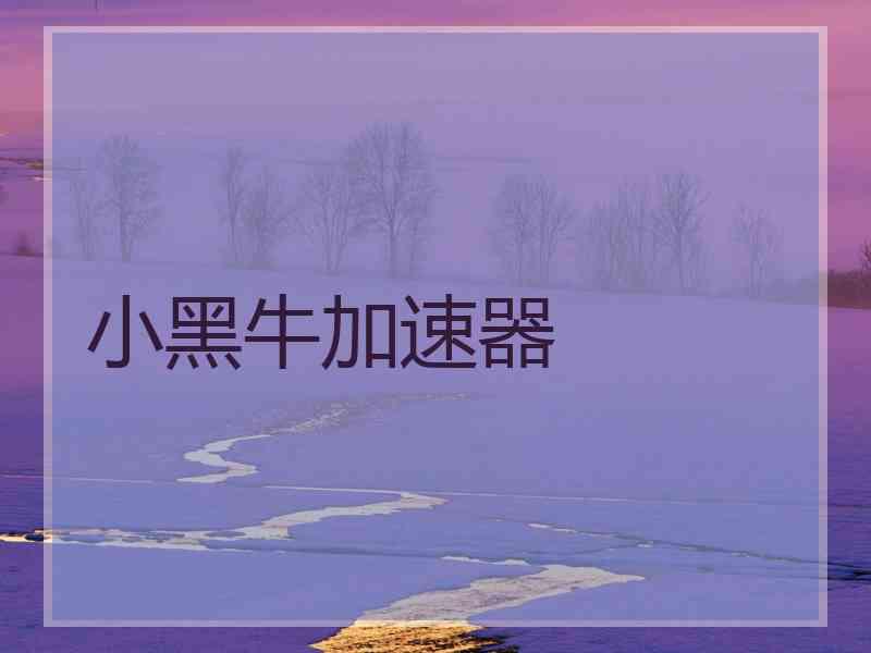 小黑牛加速器