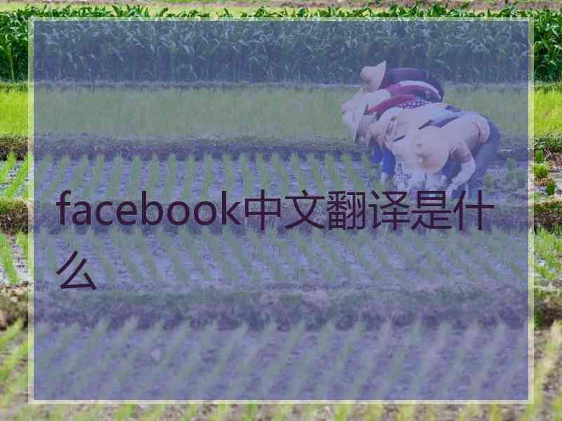 facebook中文翻译是什么