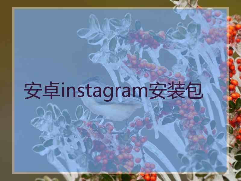 安卓instagram安装包