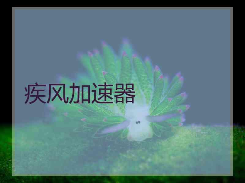 疾风加速器