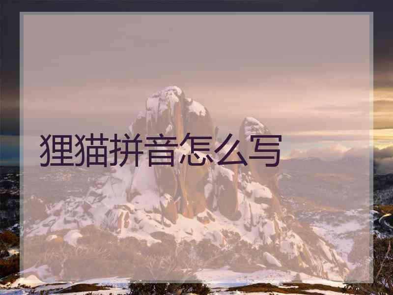 狸猫拼音怎么写