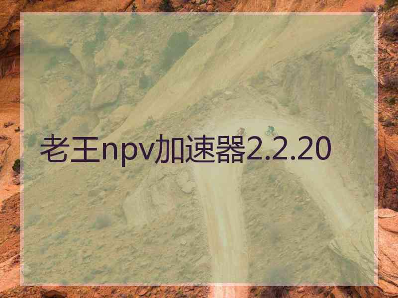 老王npv加速器2.2.20