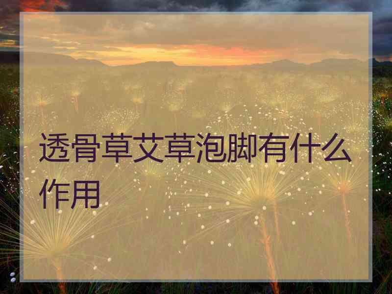 透骨草艾草泡脚有什么作用
