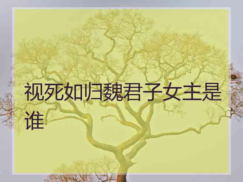 视死如归魏君子女主是谁