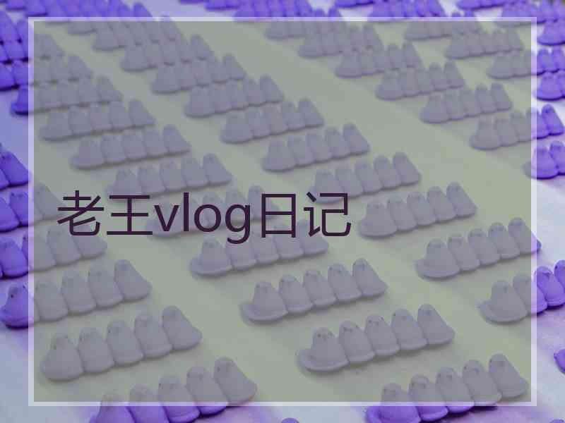 老王vlog日记