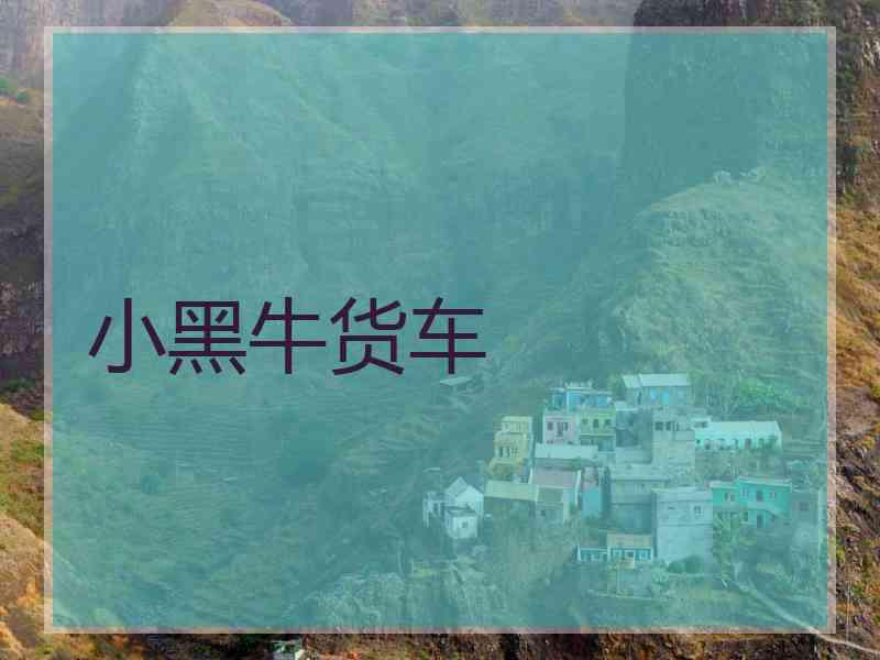 小黑牛货车