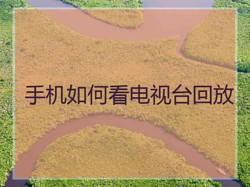 手机如何看电视台回放