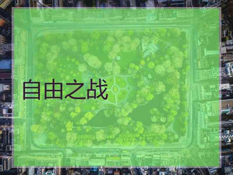 自由之战