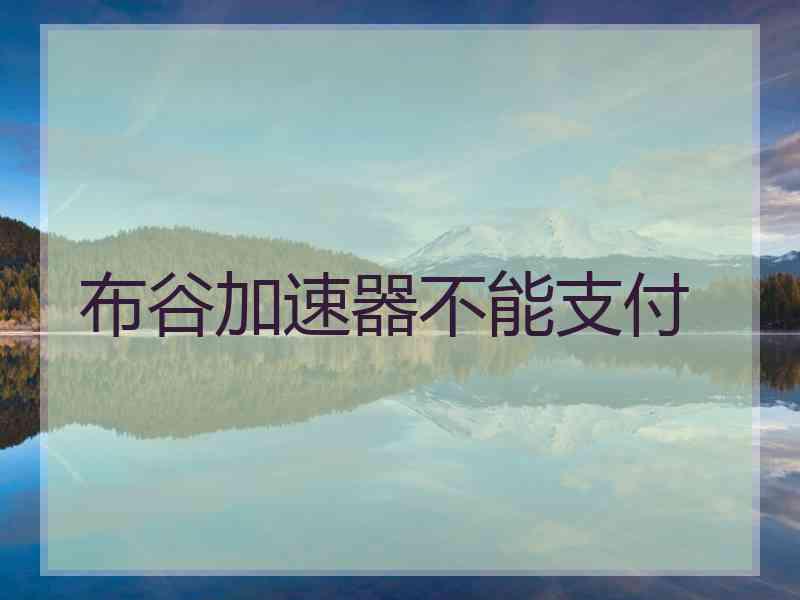 布谷加速器不能支付