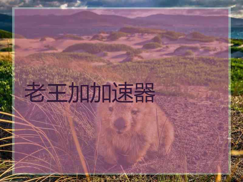 老王加加速器