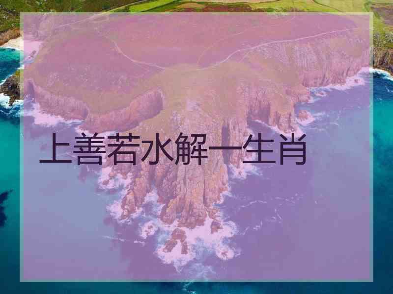 上善若水解一生肖