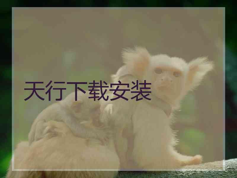 天行下载安装