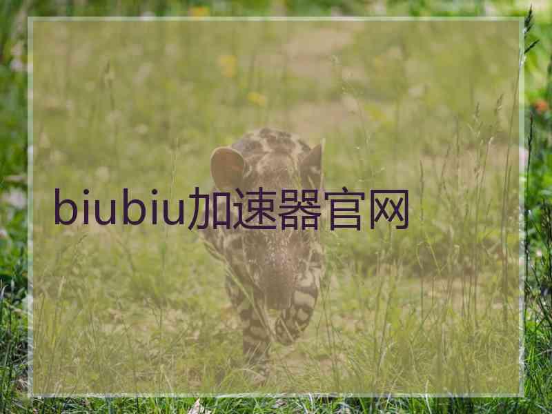 biubiu加速器官网