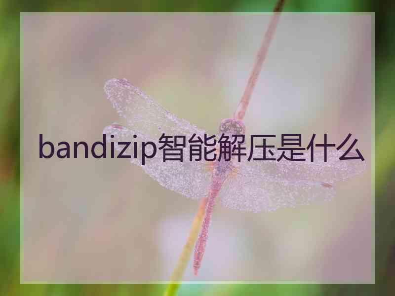 bandizip智能解压是什么