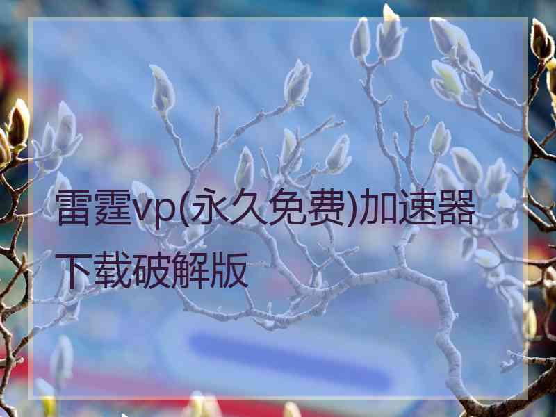 雷霆vp(永久免费)加速器下载破解版
