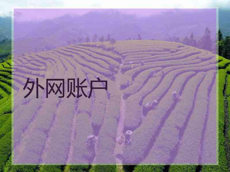 外网账户